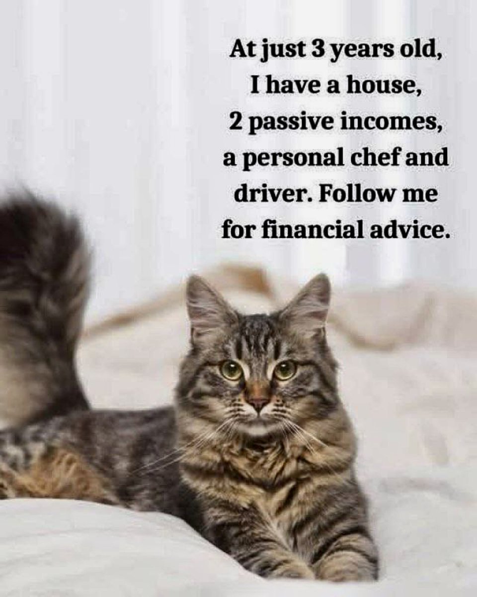 Talking About Kitties…