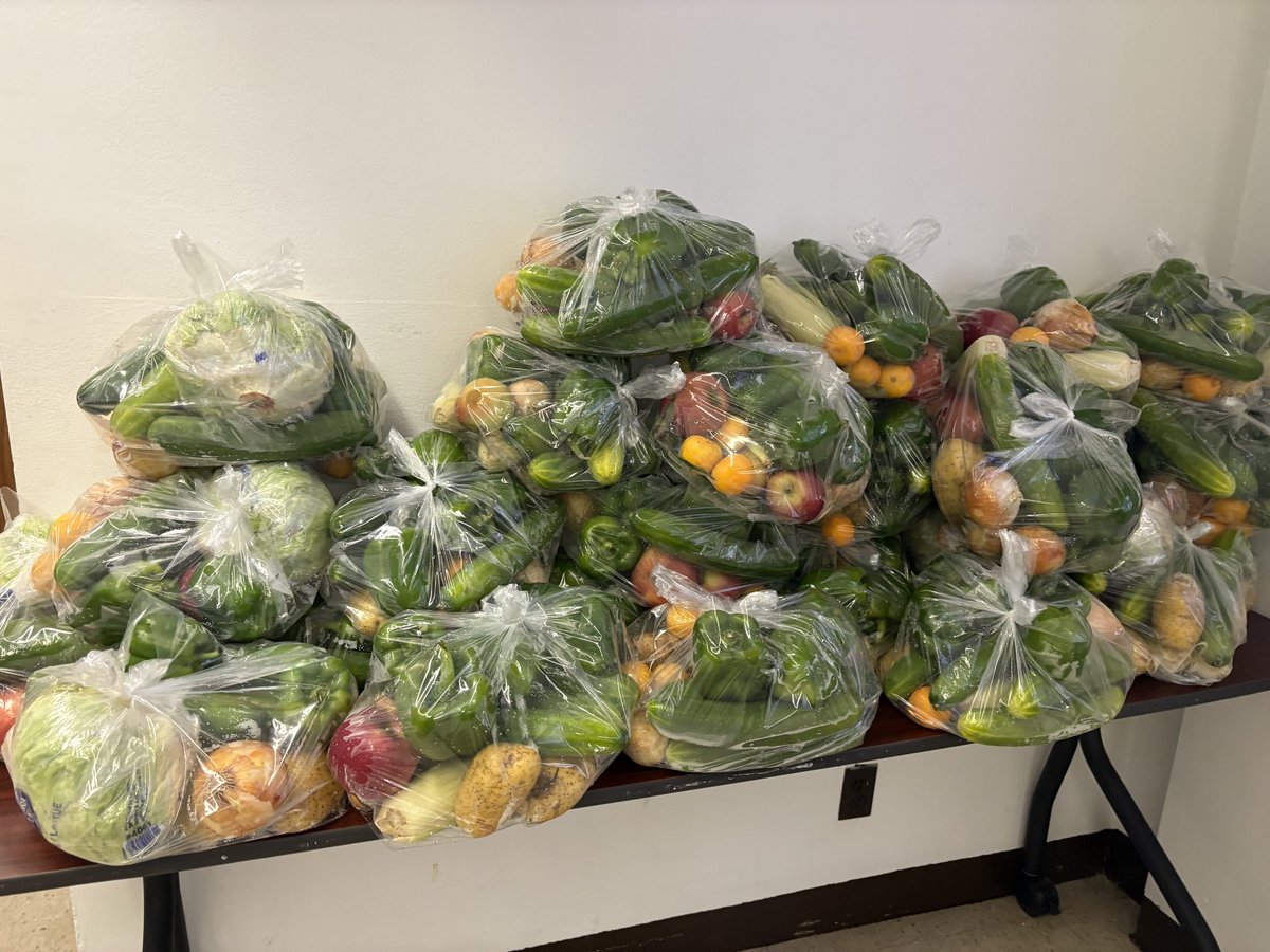 KristyMarmorato's tweet image. Grateful to team up with Throggs Neck Houses for another successful food giveaway right here in District 13! ๐ฝ๏ธ๐ Supporting our neighbors and strengthening our community