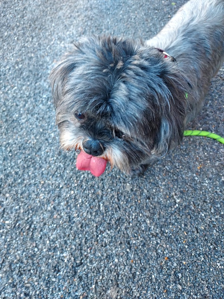 I'm absolutely gasping for a pint right now.