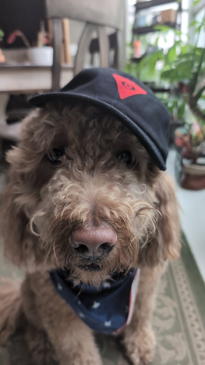 ⛛lunarpunk tweet media