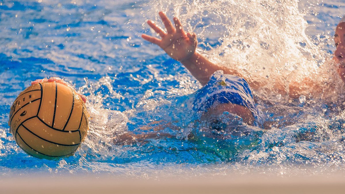 CD Natación Boadilla tweet media