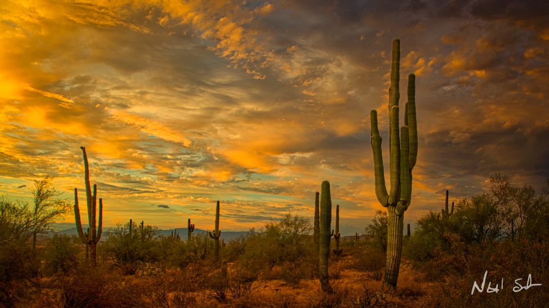 I should post more on X so here goes...Sunsets in Arizona just hit differently. #arizona #sunset #Nikon