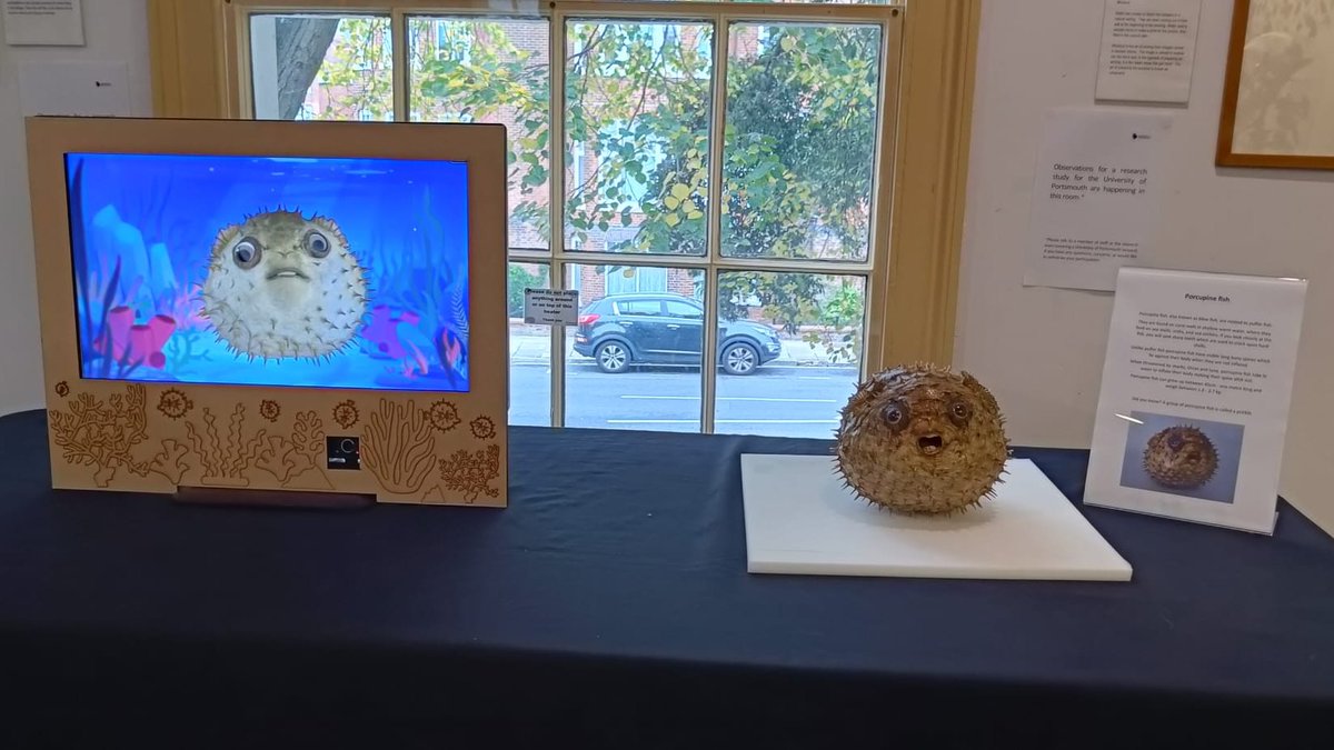 HeritageHub_uop's tweet image. What would you do if museum objects could talk?
One of our projects brought an exhibit to life at @PortsmouthNHM, creating an interactive experience, involving audiences with the museum collection.
Meet Daddy the Porcupine Fish!🐡

@portsmouthuni
@Arch_Tarek_Teba
@UniPortCCIXR