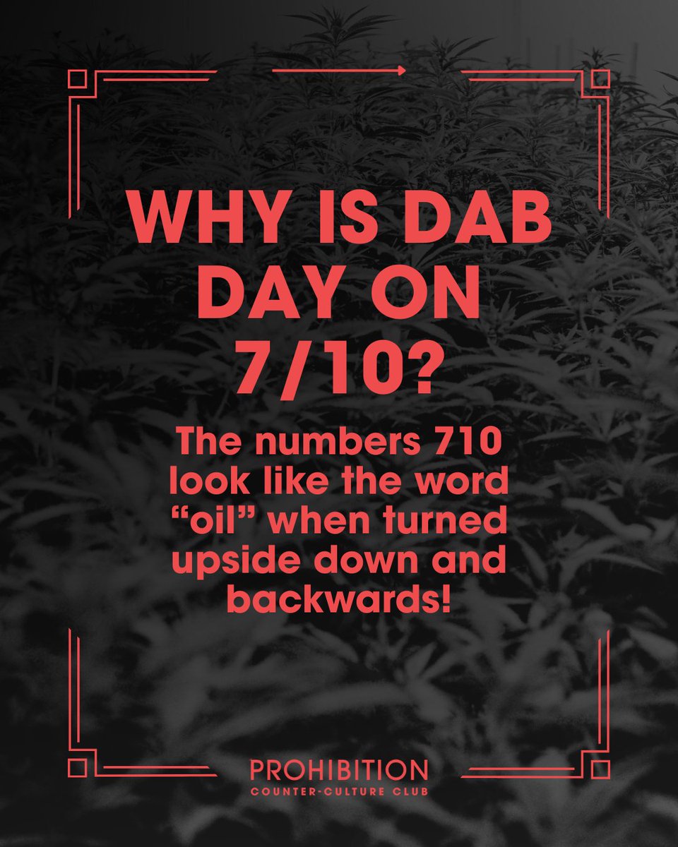 PROHIBITION tweet media