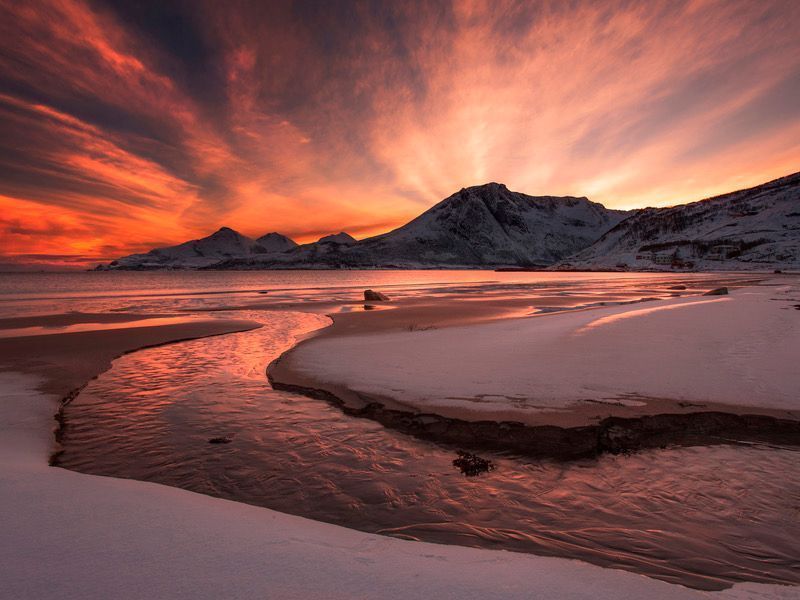 WriterJoMalby's tweet image. unrequited love
     somewhere a river 
     changes its course

~ Meraki, @Meraki_k // #Photography: ‘￼Golden Sunset’ by Jaroslav Zakravsky #haiku #vss365
