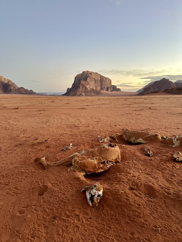 AlexLaplaza_'s tweet image. Rainmaker is building out our International team. 

You&apos;ll see far-flung corners of the Earth, break bread with government leaders, and bring water abundance to the most water-stressed regions of the world.

Adventure awaits. Link below.