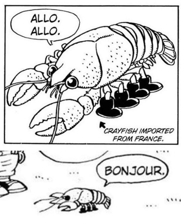 JadeAtrophis's tweet photo. We like the French here, sir https://t.co/ad5yAnErll