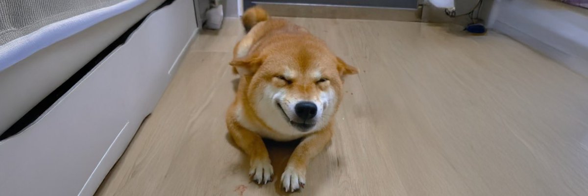 $佩奇 | Peiqi

FEyuDoFyfLN177Rxnnc7z5gLpY4yzKzELzwqZfodbonk