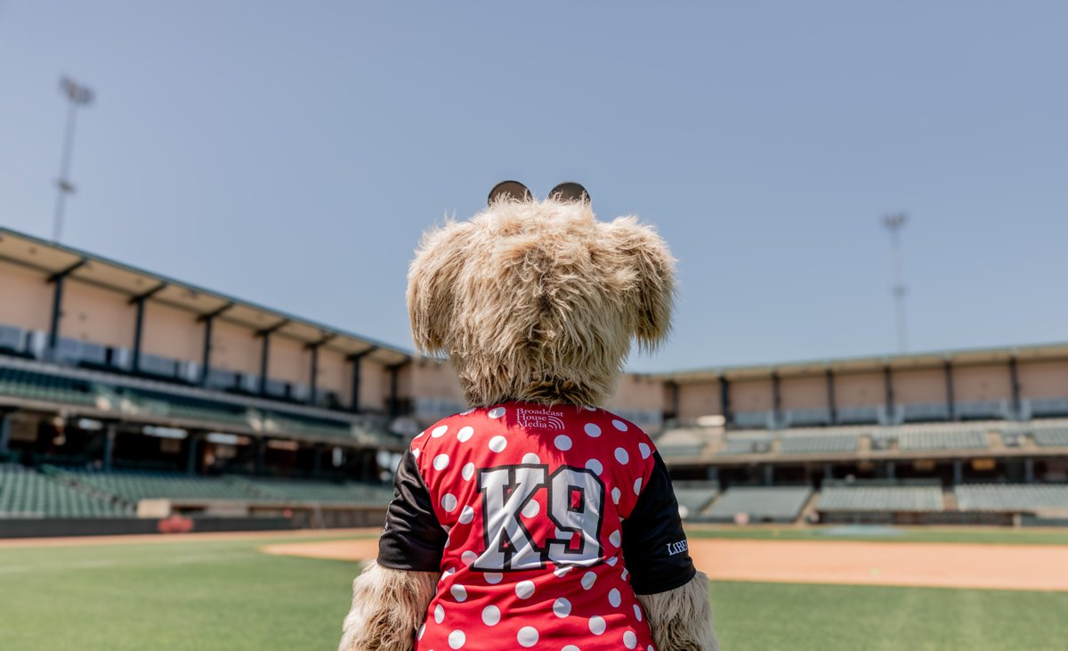 The long-awaited reveal is HERE! Our limited-edition Waltdogs jerseys, worn by the team on Waltdogs Night, 7/18, are now up for auction!

Bid today! Auction closes July 19 at noon. All jersey proceeds will benefit Homer’s Heroes

 saltdogs.com/bid
 saltdogs.com/waltdogs/