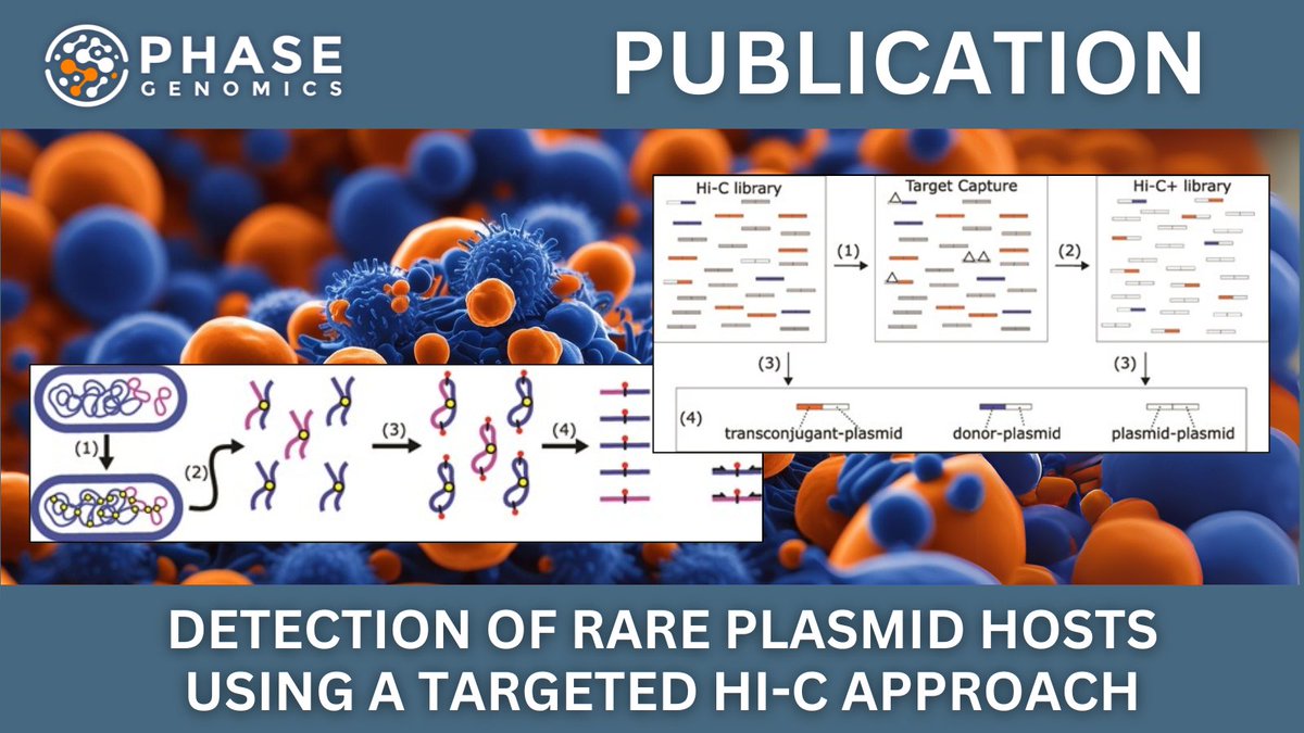 PhaseGenomics's tweet image. 🧬 New study in @ISMEComms showcases targeted ProxiMeta Hi-C to identify rare plasmid hosts in soil microbiomes, boosting detection 100-fold. Key for tracking antimicrobial resistance. #Microbiome #HiC #AMR
🔗 hubs.la/Q03v1C8K0