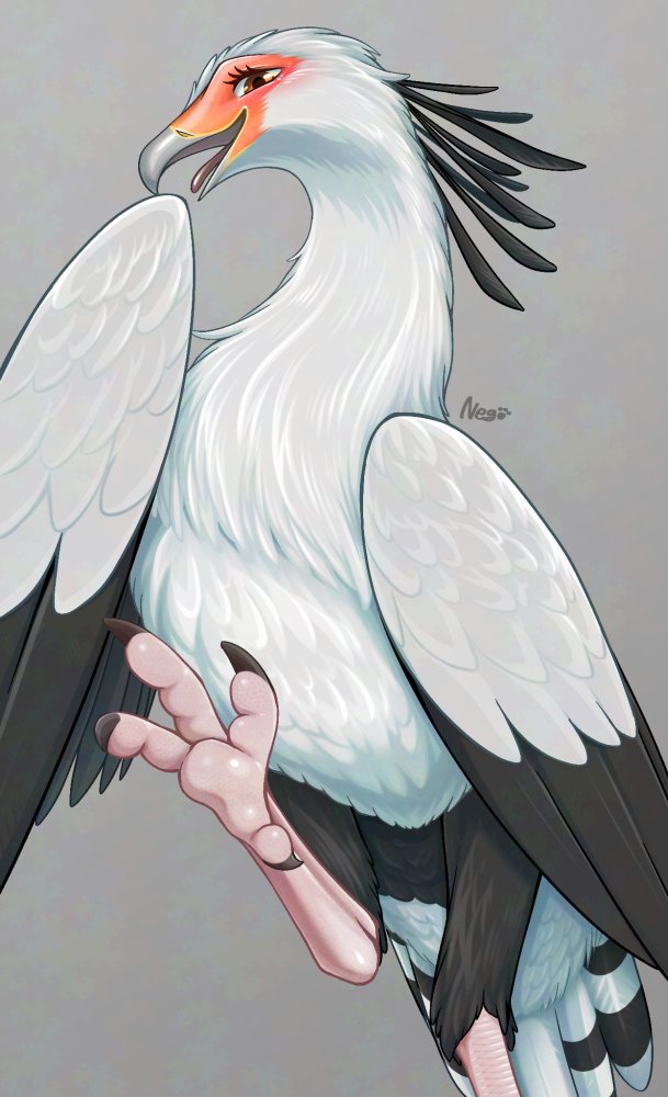 #独学でここまで性癖歪んだから一緒に狂おう
2009年頃←→今 