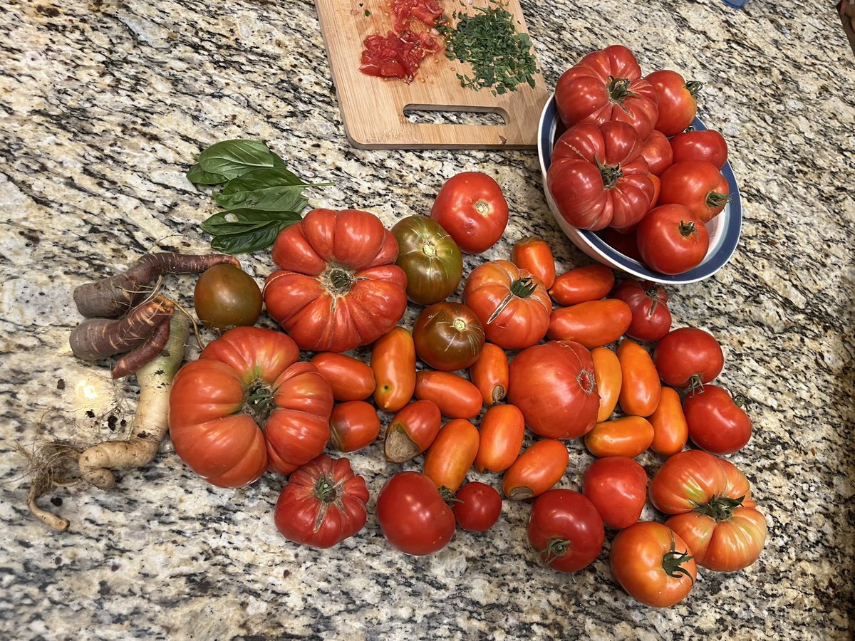 HandPickedBeans's tweet photo. I joke about my $1000 salsa.  And people always remark how much money we must save on eggs, and I always respond that it’s still probably cheaper to buy them in the store.  But nothing tastes as good as something I grew myself, even if that flavor is just in my head. https://t.co/YajD5Y40if