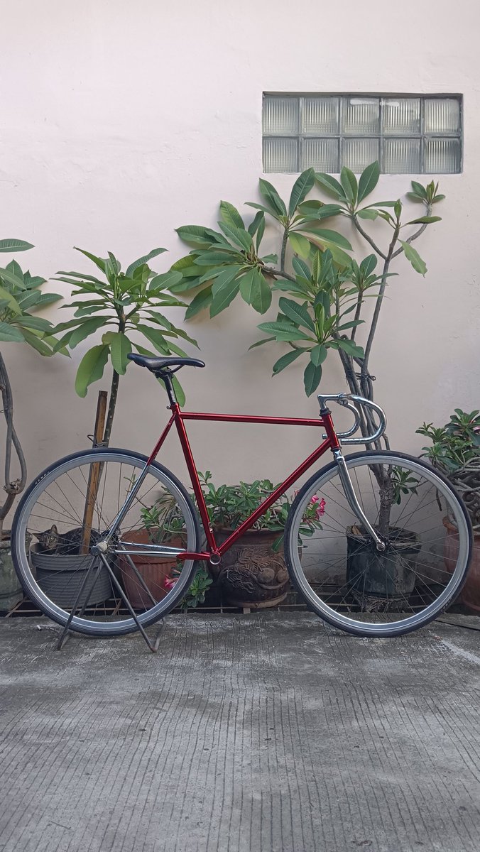 Fixie Aksesoris tweet media