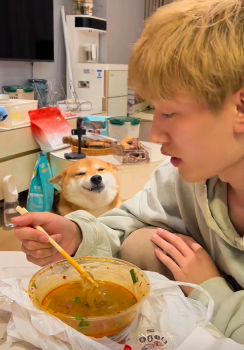 insane lore just look at $佩奇