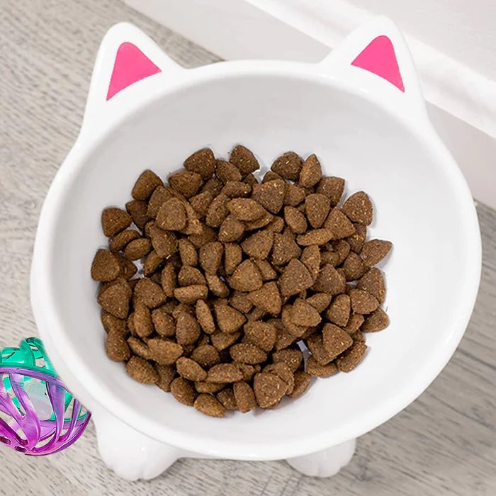 eat up kittens