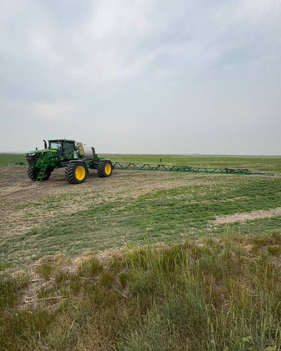 Simpson Seeds (@simpsonseeds) on Twitter photo Out in the fields and keeping things moving.
The team at Simpson Farms <a href="/FarmsJoint/">Simpson Farms Joint Venture</a> is busy spraying and monitoring pulses, making sure everything looks good and is on track.
#saskfarm #farmlife #farmequipment Out in the fields and keeping things moving.
The team at Simpson Farms <a href="/FarmsJoint/">Simpson Farms Joint Venture</a> is busy spraying and monitoring pulses, making sure everything looks good and is on track.
#saskfarm #farmlife #farmequipment