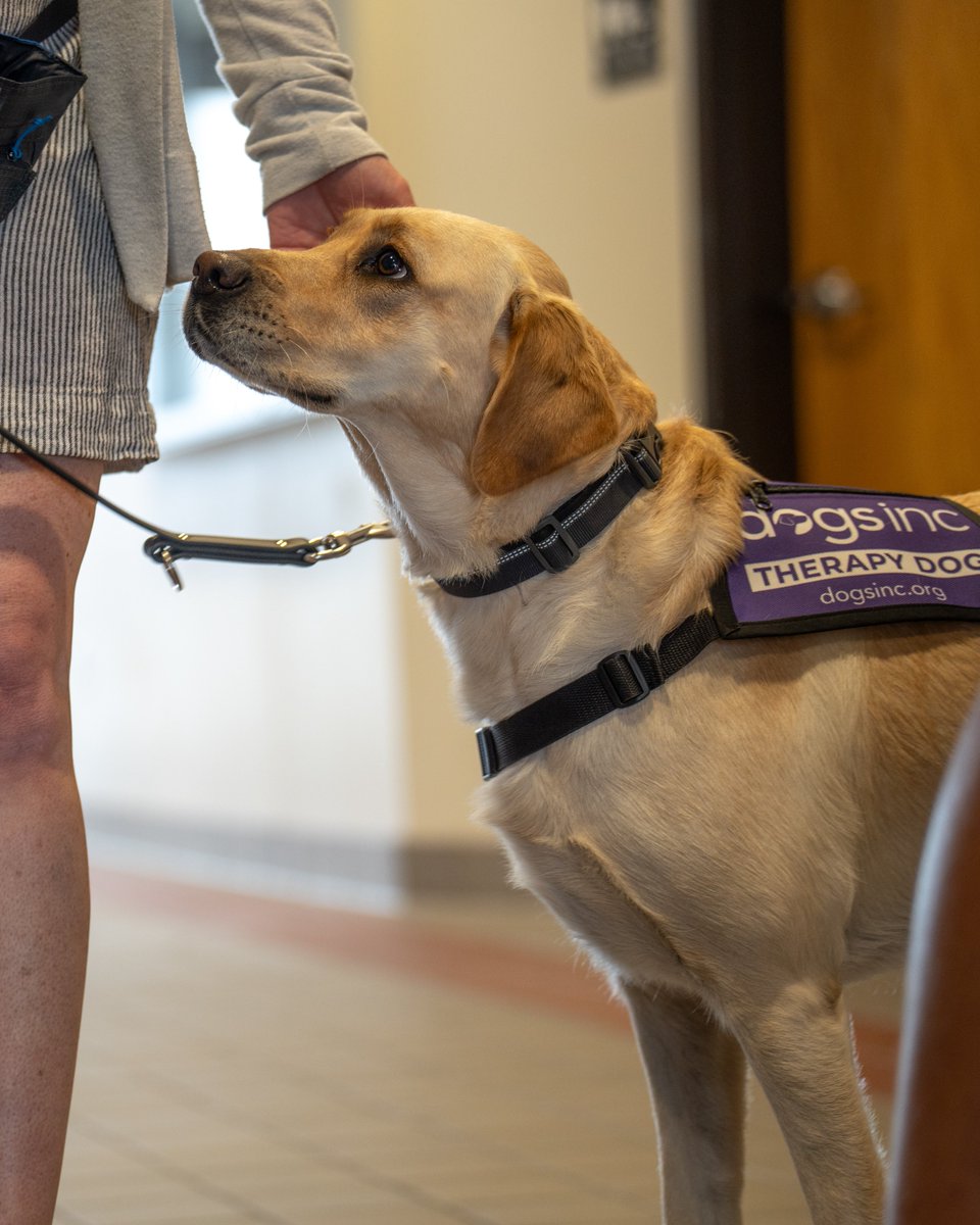 AirNatlGuard's tweet image. Everyone, please give a big welcome to Captain — the @SD_Guard's newest teammate and therapy dog at the 114th Fighter Wing! 🐾
Learn more about how Captain is reducing stress, boosting mental wellness, and sparking connection ⤵️
ang.af.mil/Media/Article-…