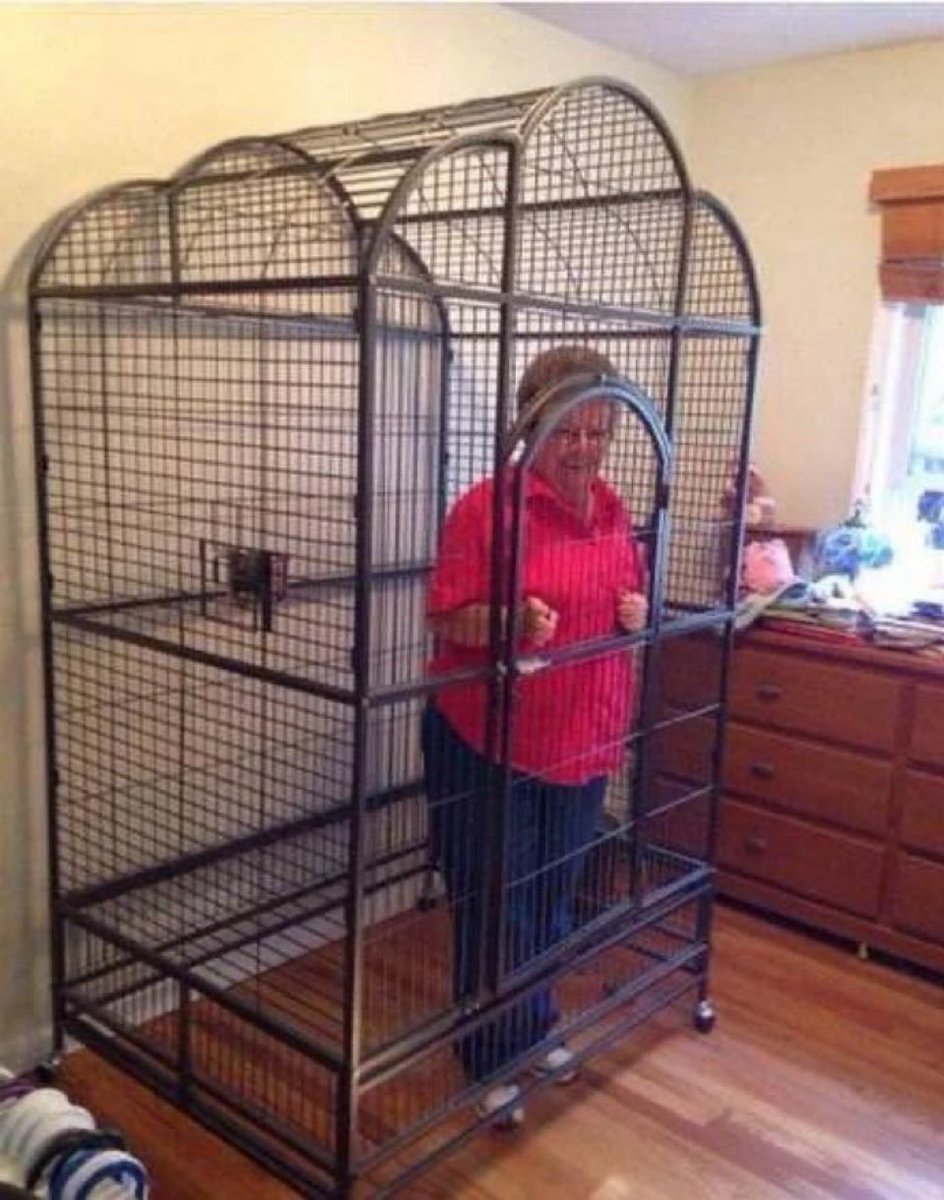 _Afcbanks's tweet photo. I’m not letting Grandma out until Arsenal announce Gyokeres😡 https://t.co/JY1HtnepXe