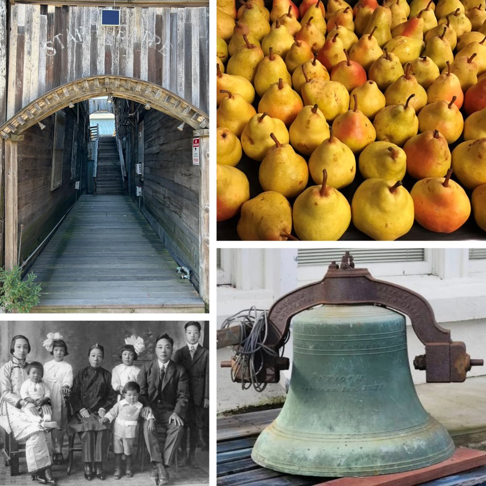 Delta Protection tweet media