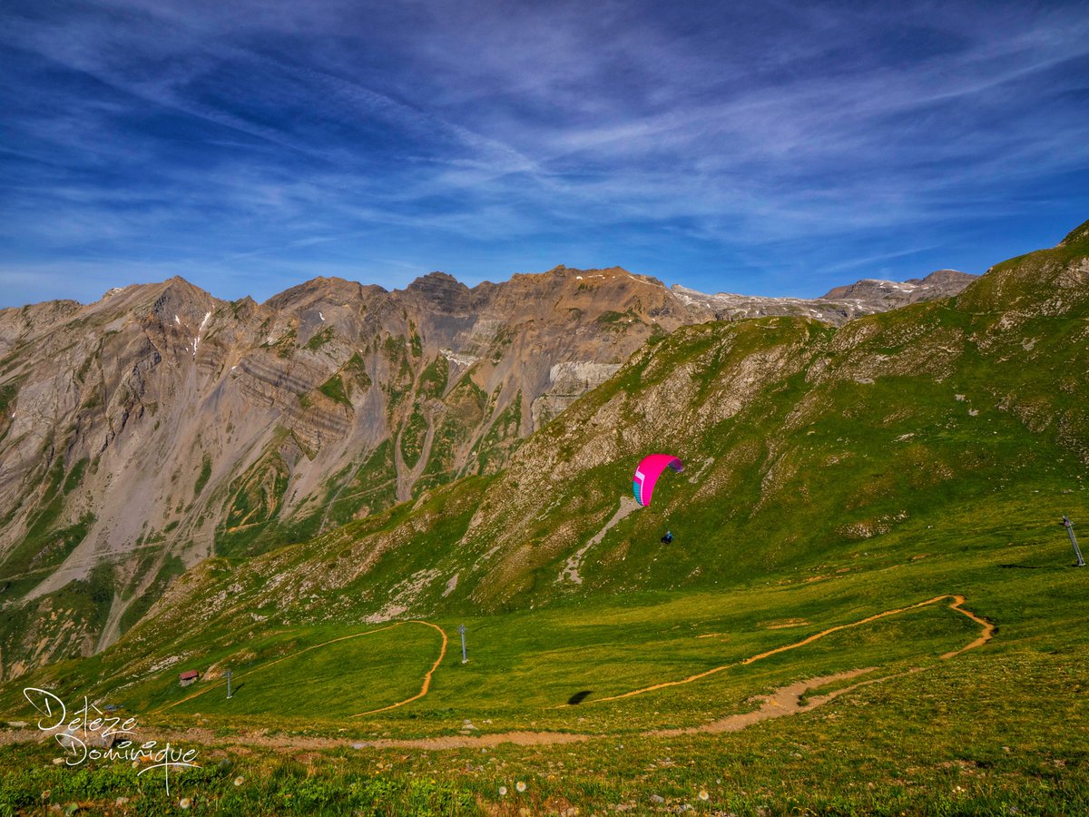 DelezeD's tweet image. A la recherche d’un peu de fraîcheur, Anzère 🏔️🤩🏔️🇨🇭

#suisse #switzerland @valaiswallis @Anzere365 @MySwitzerland_e