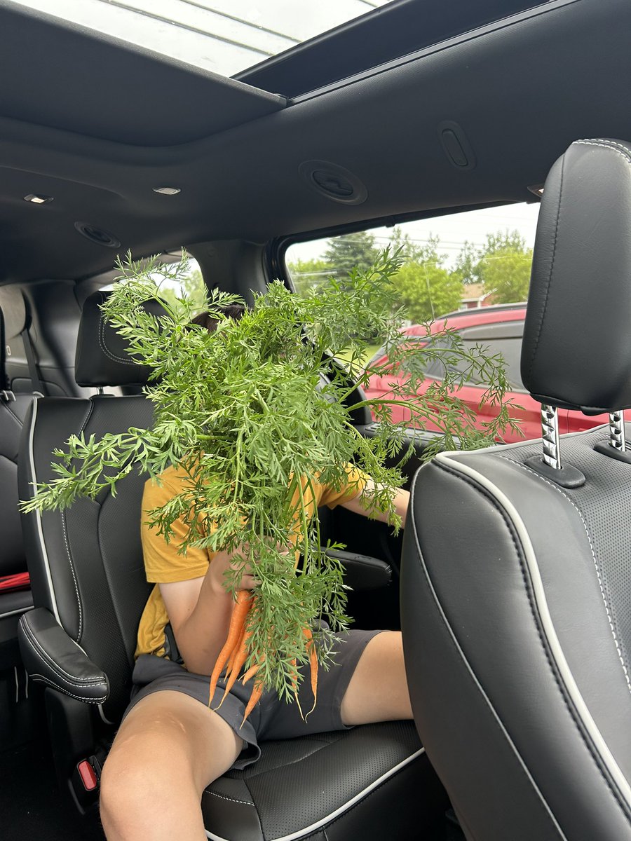 _CryMiaRiver's tweet image. In Nova Scotia and we just stopped at an unmanned roadside fruit and vegetable stall. These operate on an honour system, relying on the honesty of citizens.
We always end up with a carload of produce we don’t even need just because of the novelty of it.
I ❤️ The Maritimes