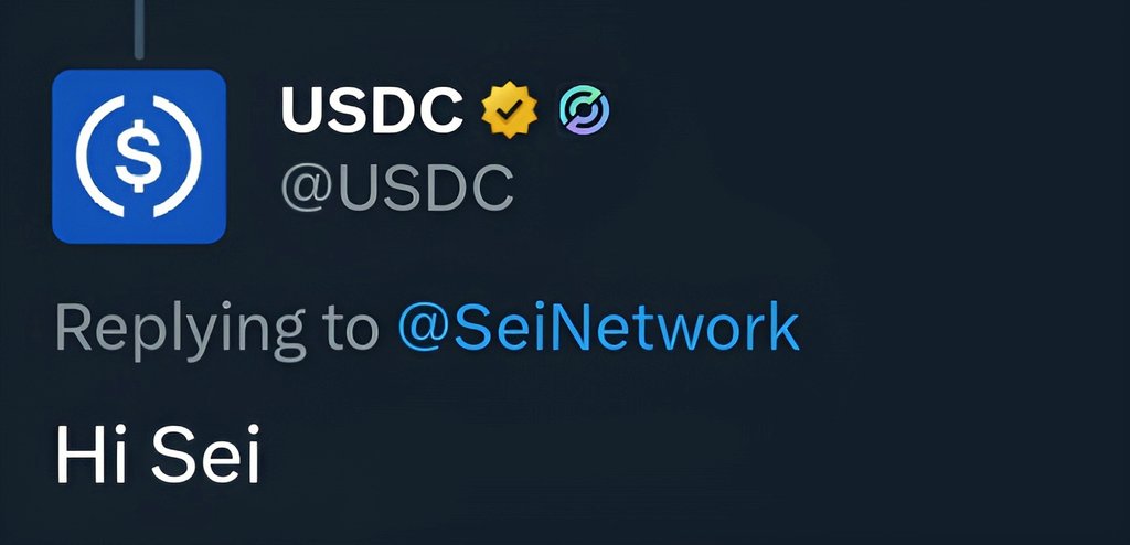 $SEI bull market starting today 

Billions will flow into sei 

That's the tweet 😏