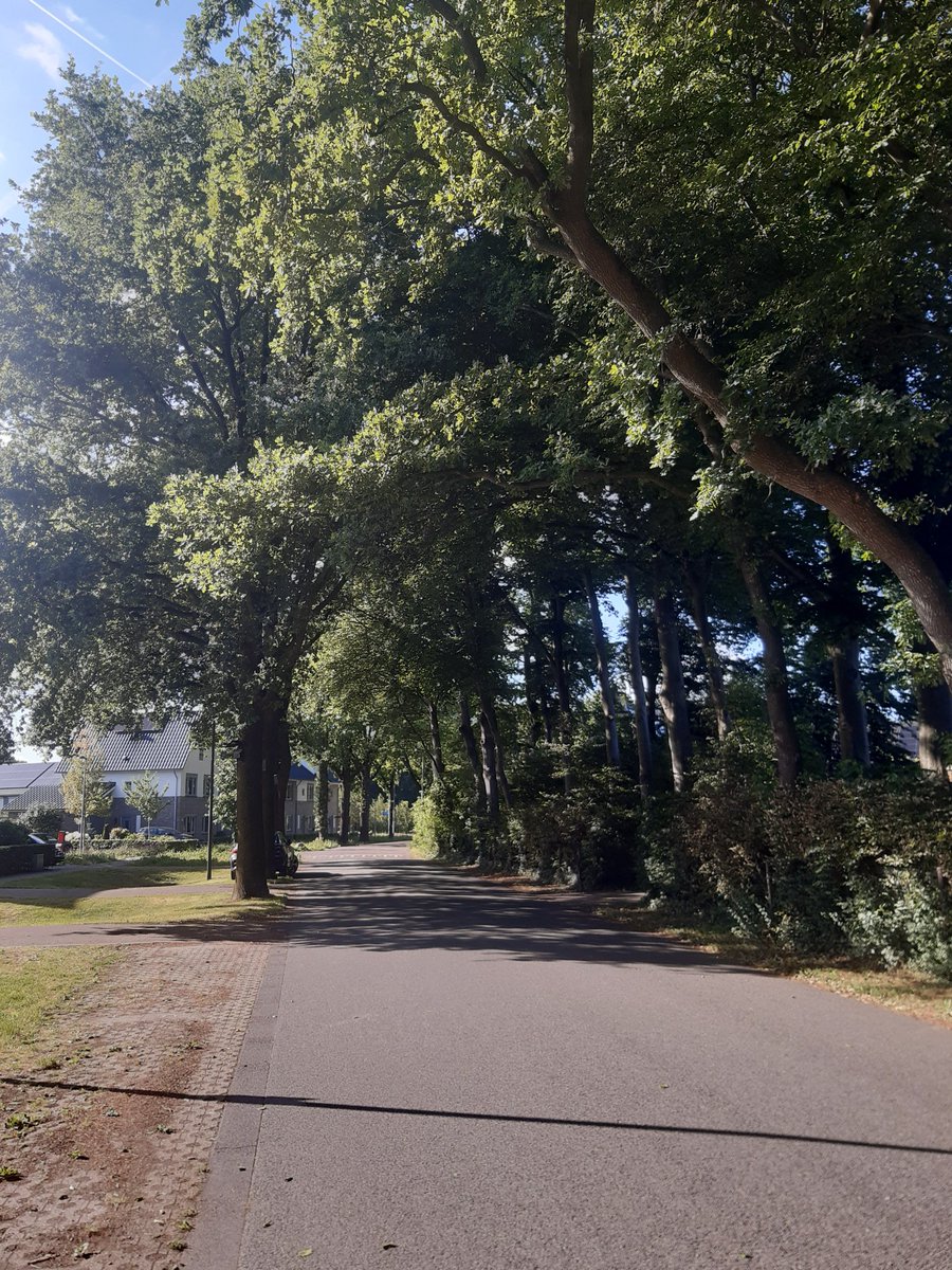 Barbarella tweet media