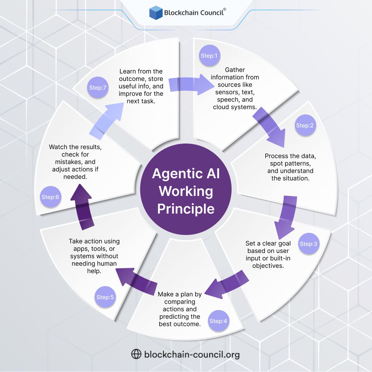 🧠 Discover how Agentic AI systems work—step by step.

⚙️ From gathering data to executing tasks and learning from outcomes, this cycle is the future of autonomous systems.

Register Now: blockchain-council.org/certifications…

#AgenticAI #AIWorkflow #Automation #BlockchainCouncil #AIInsights