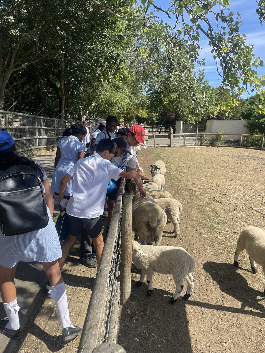 ststephenscps's tweet image. #Year6 had a great time at Mudchute Farm today!