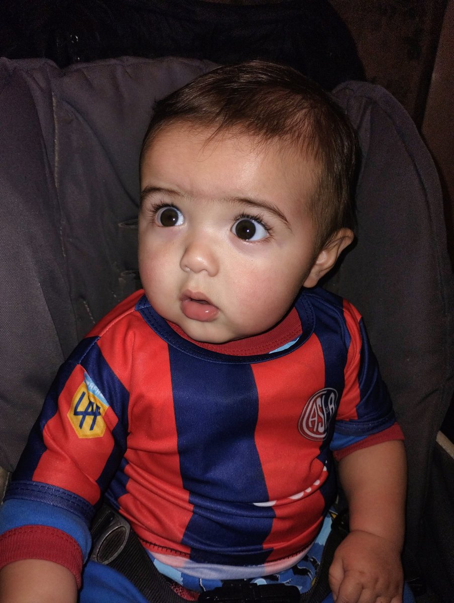 MelaMarrtinez's tweet photo. mi cuervo hermoso ❤️💙 https://t.co/SbSfFEBcKq