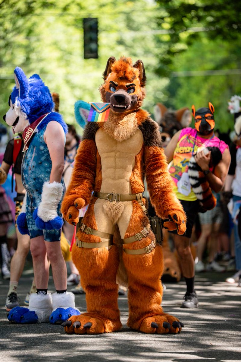 RingerShep's tweet image. 🦷