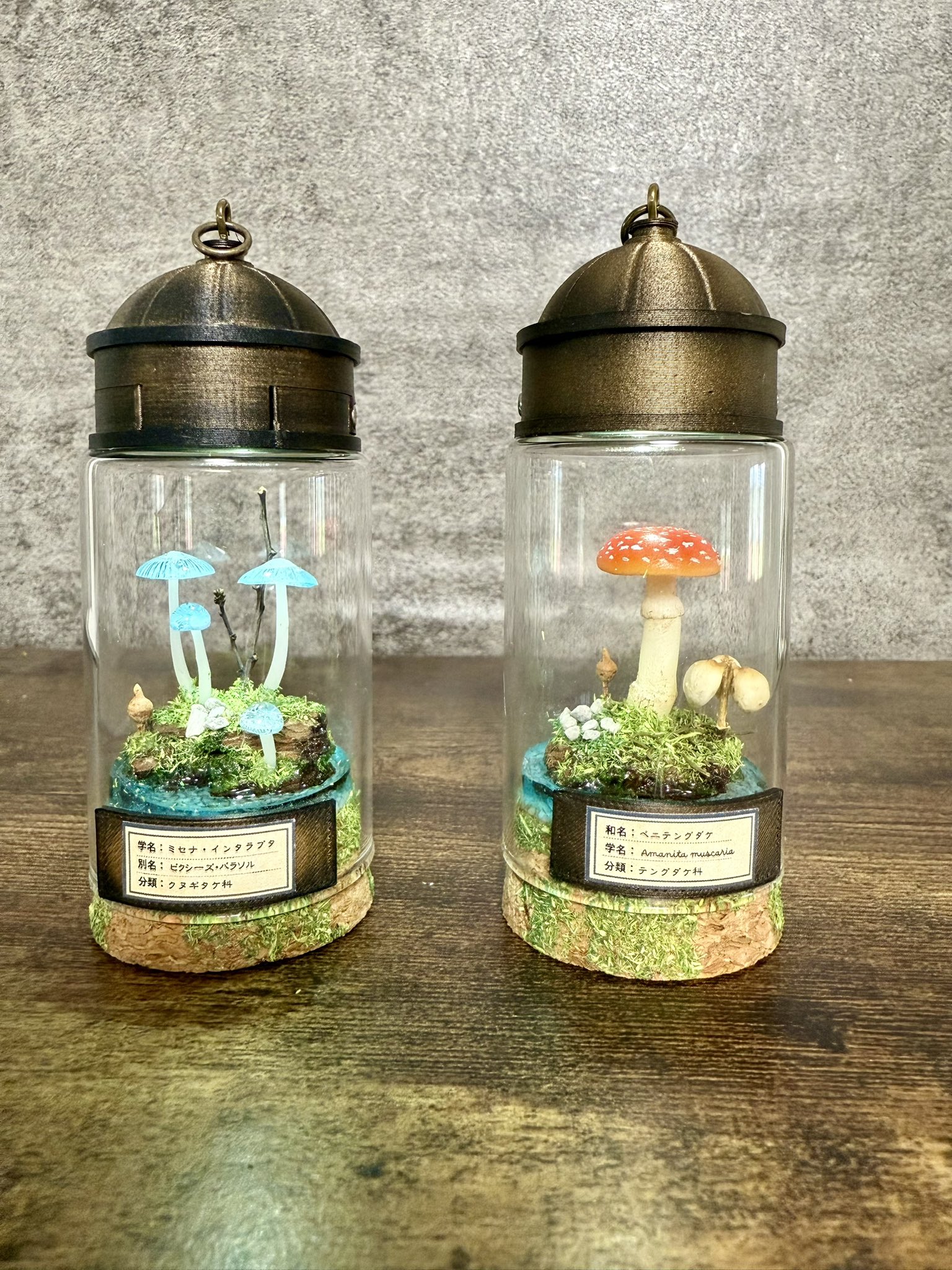 ✨ガラス聖3Dボタニカルアート✨Homage to Nature　⭐️ ☆匿名おお AtelierKarasu(カラス) on X: 