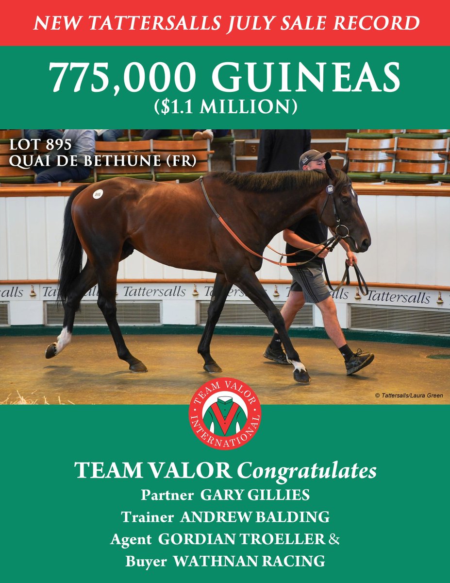 Quai De Bethune SOLD! A Sales Record! 

Be a part of the Team Valor world. DM us to be added to our list or visit the website.