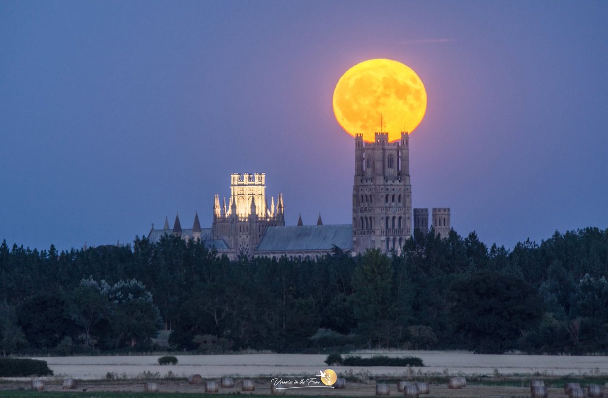 Veronica in the Fens 🧚🏼♀️ My Heart in Nature (@veronicajopo) on Twitter photo A truly stunning July Full moon rising over Ely Cathedral this evening 🌝
Taken from Little Downham outside of Ely in Cambridgeshire.
#FullMoon #BuckMoon #HayMoon #ElyCathedral
<a href="/Ely_Cathedral/">Ely Cathedral</a> A truly stunning July Full moon rising over Ely Cathedral this evening 🌝
Taken from Little Downham outside of Ely in Cambridgeshire.
#FullMoon #BuckMoon #HayMoon #ElyCathedral
<a href="/Ely_Cathedral/">Ely Cathedral</a>