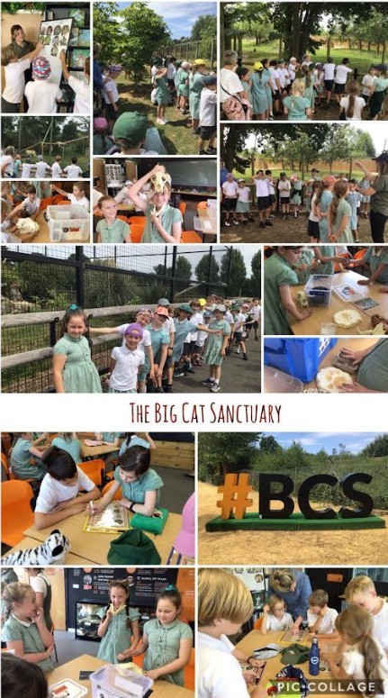 Goudhurst & Kilndown tweet media