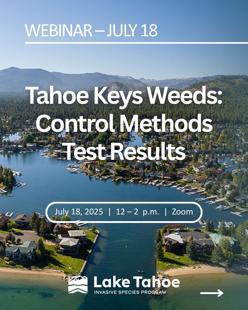 TahoeAgency's tweet image. Join us Friday, July 18, 12–2p.m., for a free webinar on the Tahoe Keys Weeds – Control Methods Test Results.
Hear from experts on:
• Results from the 3-year test
• Current strategies for weed containment
• A live Q&A session
Register: us02web.zoom.us/webinar/regist…
#LakeTahoe