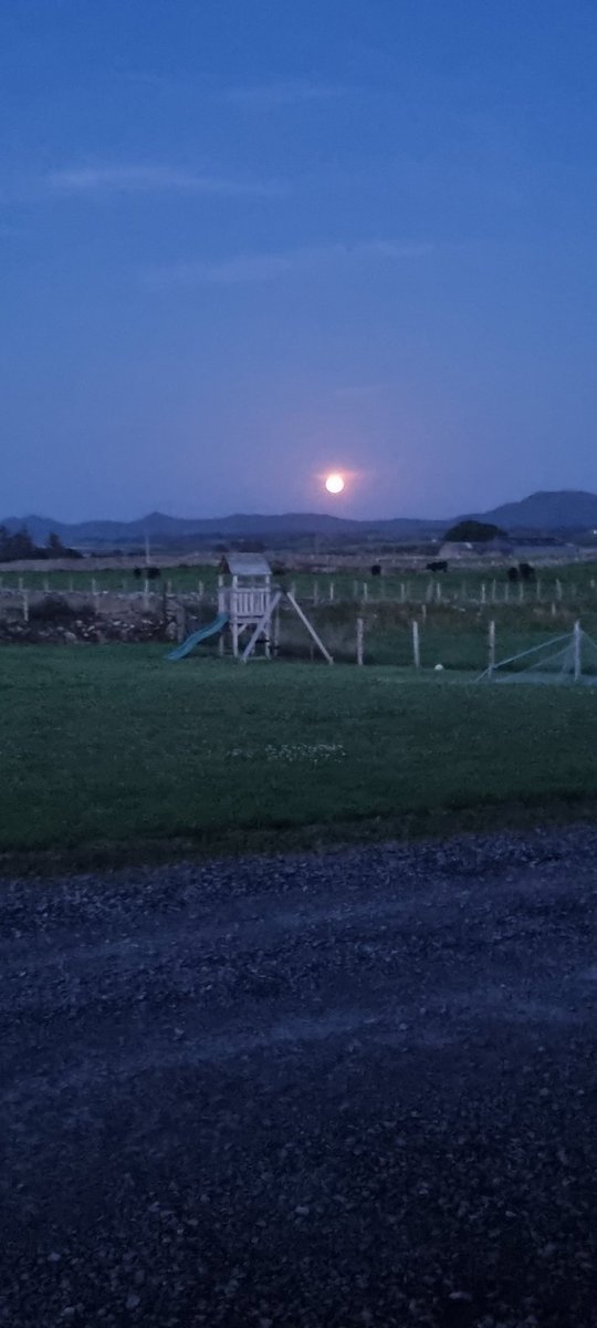 Darragh Harkin tweet media