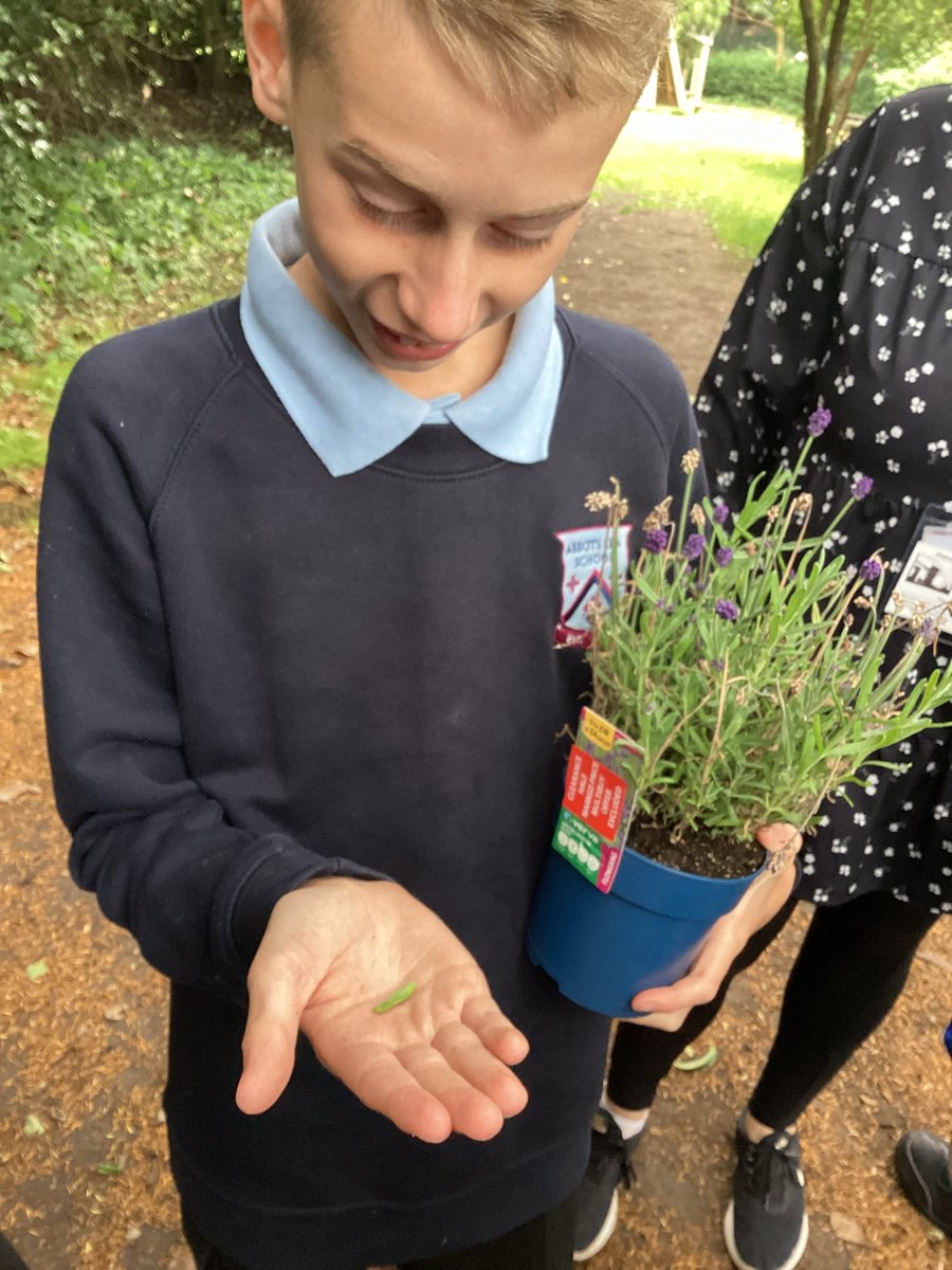 This week, Peru class engaged in a workshop with Food For Thought. We looked at a range of plants and seeds, then we planted some in our Forest school. We tidied the area by clearing the weeds with trowels. 🌲🌻🌹