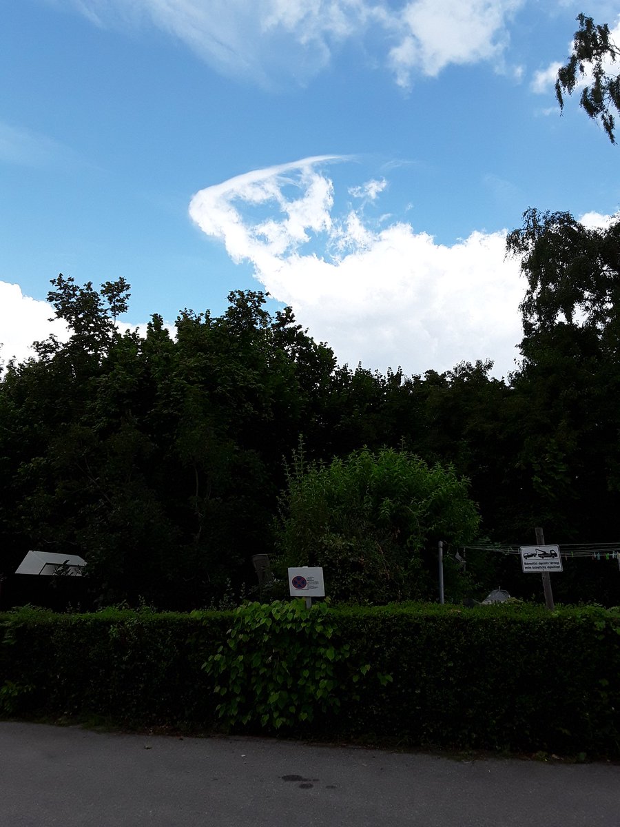 Romana Kirchner-Shah (@kitty19792) on Twitter photo It's crazy, what the Cloud make, Präsident Trump <a href="/realDonaldTrump/">Donald J. Trump</a>/<a href="/POTUS/">President Donald J. Trump</a>. It's was on the Parking in my home. It was 11:15 am, as i making them. It's crazy, what the Cloud make, Präsident Trump <a href="/realDonaldTrump/">Donald J. Trump</a>/<a href="/POTUS/">President Donald J. Trump</a>. It's was on the Parking in my home. It was 11:15 am, as i making them.