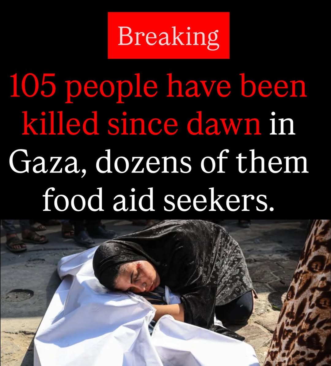 reham_hasan409's tweet photo. Day 640
Instead of de-escalation, Israel intensified strikes on Gaza — hitting aid routes and “safe” zones.
Over 105 killed today, 1,000+ in a week.
Don’t stay silent about Gaza.

#Day640 https://t.co/ftZ2IxJ4gh