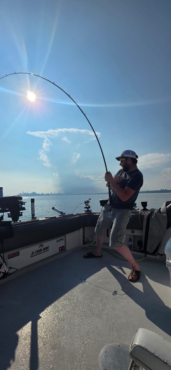 That's what I'm talkin about!