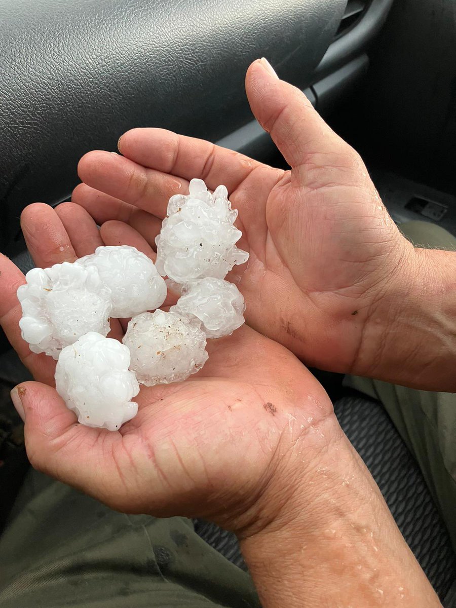 #Precipitació (l/m²) de la #tronada ⛈️ focalitzada aquesta vesprada entre Ayora i Moixent:

43,0 Ayora/La Pinilla (30 l/m² en 30')
35,4 Ayora/Casa Benito
15,2 Enguera/Navalón
7,6 Moixent/la Foia

📸 #Mammatus captats des de #Jarafuel. Autor: Ferran
📸 Pedra a #Ayora/Finca Peralta