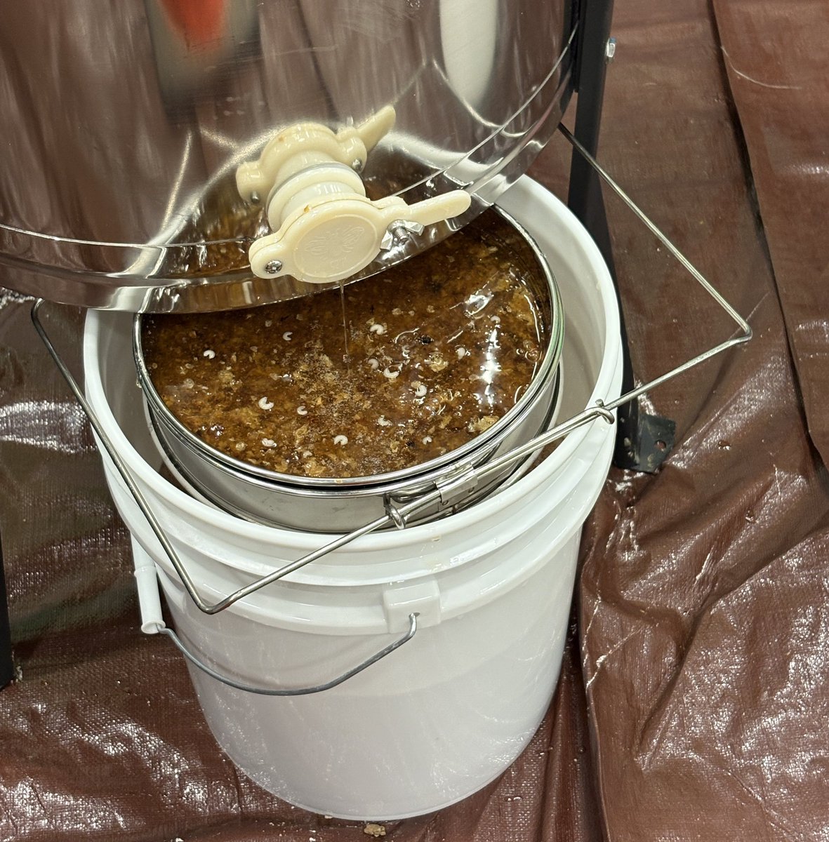 dcwater's tweet image. Today was the sweetest day of the year. 🐝🍯 We teamed up with Bloom for our annual honey harvest at Blue Plains.
With help from DC Beekeepers Alliance, we’ve housed “orphaned” bees since 2015. Those hives now produce around 200 pounds of award-winning honey every year.