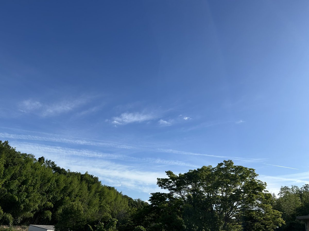 BOUR_BOOON's tweet photo. おはよーございます

只今気温26℃

週末、がんばります💪🤗

#イマソラ
#上を向いて歩こう https://t.co/9aEF8rOZQD