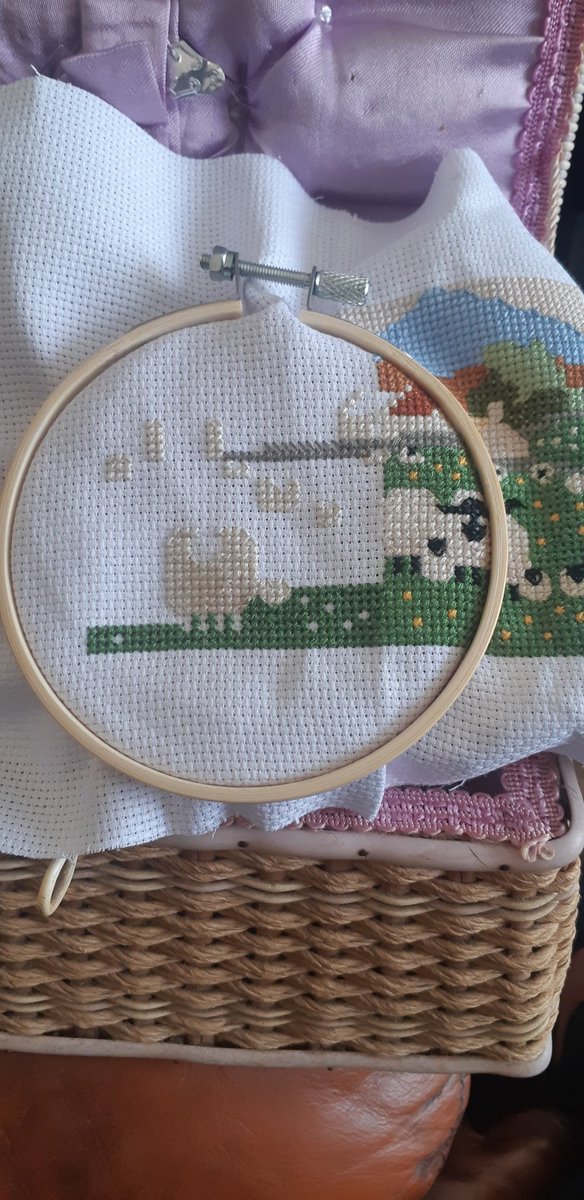 Day 12: Didn't do much today. I did discover that I made a wee mistake yesterday. Nothing earth shattering thankfully. Rather than unpick it, I decided I can work around it. Only I know where it is. 😉🐑
#Sheep 
#CrossStitchTwitter