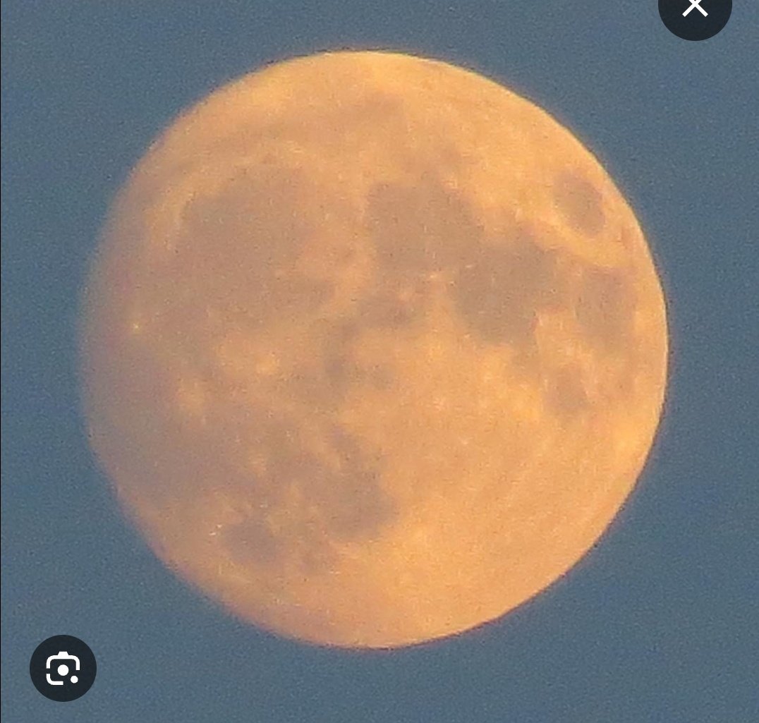 <a href="/Lonewolf_Kye/">𝙺𝚢𝚎 🌻✨☔️✨🕊✨☔️✨🌻</a> <a href="/ColdWarPatriot/">AmericanPatriot 🇺🇸</a> when my Blue Moon turns to Gold