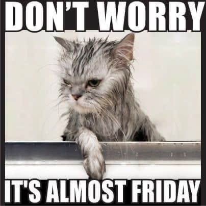 ToniLL22's tweet image. Happy Friday Eve my friends😊