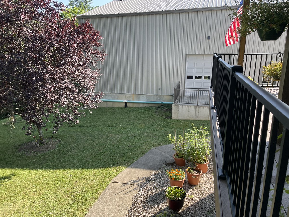 Nice evening to sit out and not die from humidity #winwin