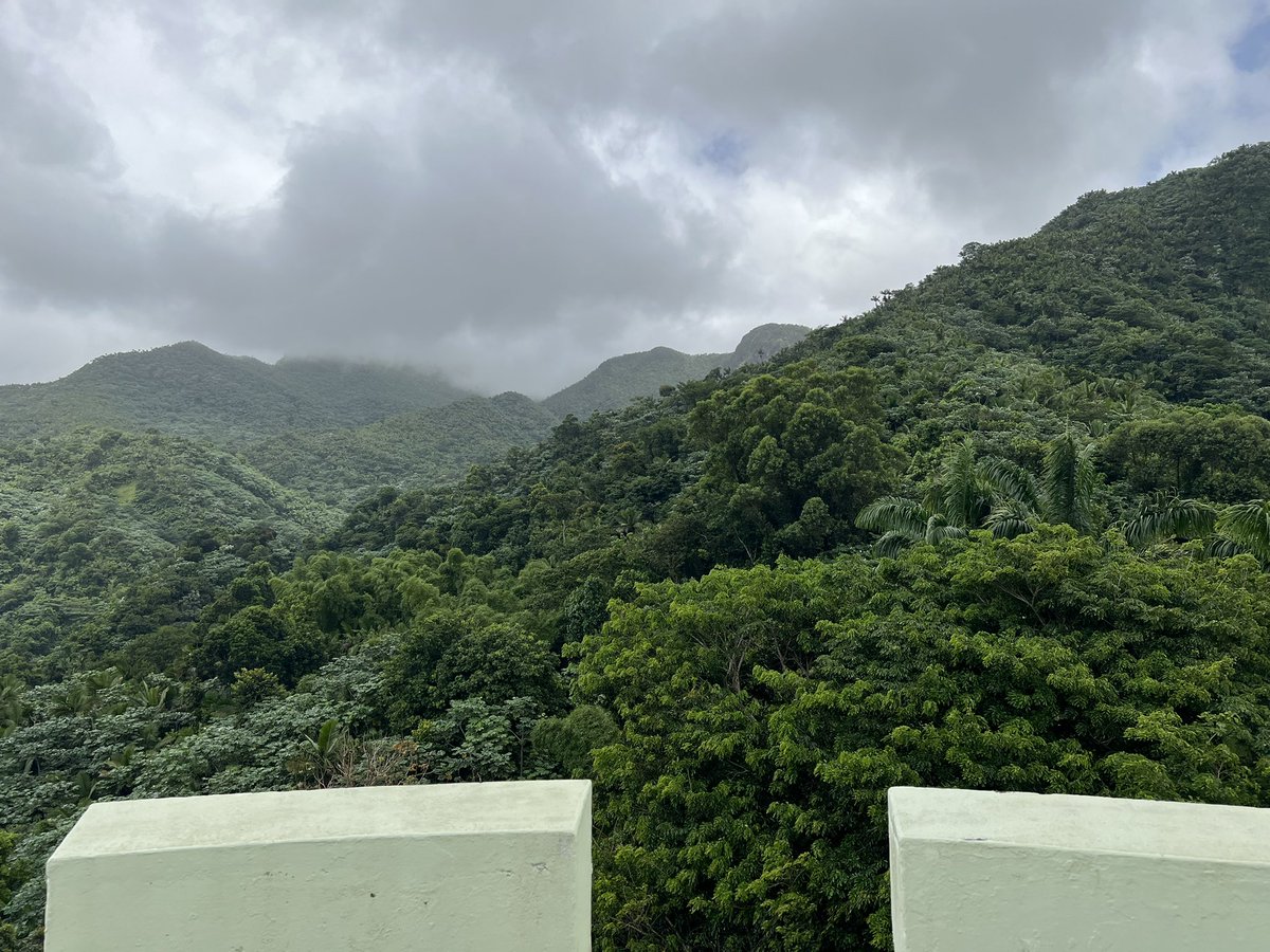El Yunque Rainforest, Puerto Rico