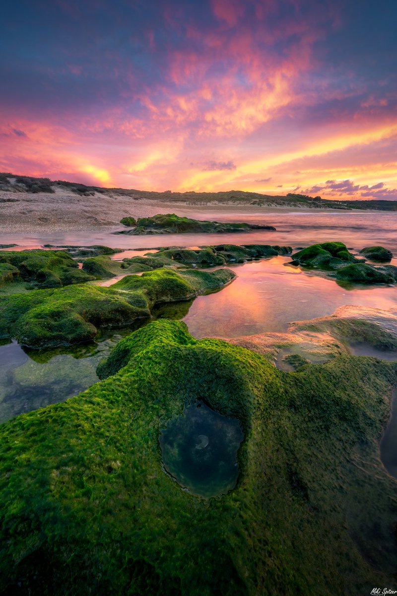 mikispitzer's tweet image. שקיעה בחוף פלמחים 🇮🇱
Sunset in Israel
#nikoncreators #Israel